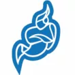 Jitsi