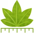 Digimizer icon