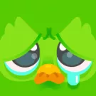 Duolingo icon