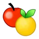 ExamDiff Pro icon