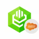 Devart ODBC Driver for Salesforce Marketing Cloud icon