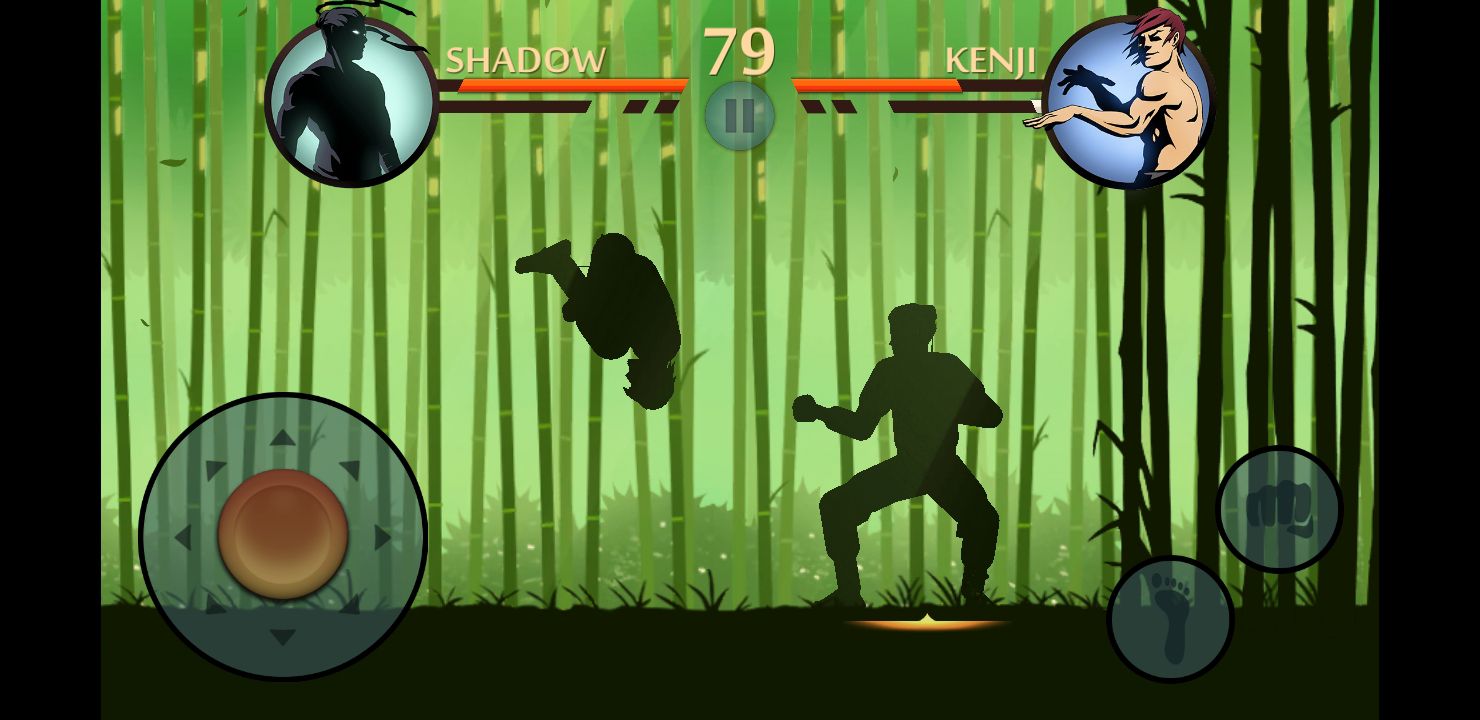 Shadow Fight 2 APK for Android Download