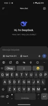 DeepSeek screenshot 1