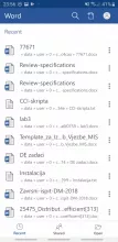 Microsoft Word screenshot 1