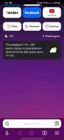 Yandex Browser screenshot 2