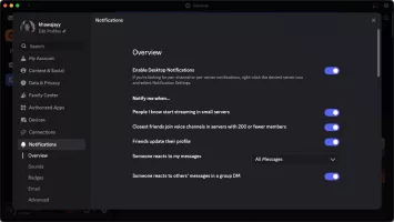 Discord screenshot 11