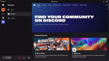 Discord screenshot 3