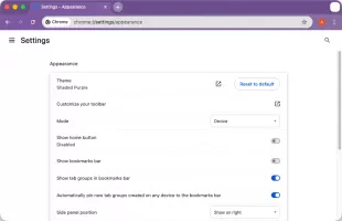 Google Chrome screenshot 5