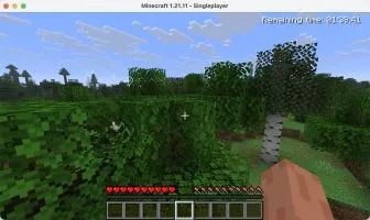 Minecraft screenshot 2