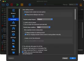 qBittorrent screenshot 4