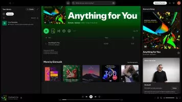 Spotify screenshot 1