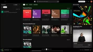Spotify screenshot 4