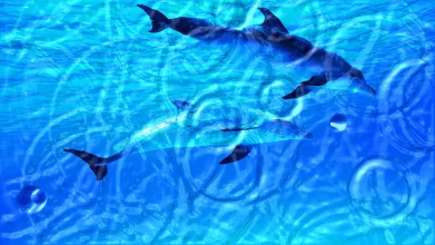 Animated Wallpaper - Watery Desktop 3D screenshot 1