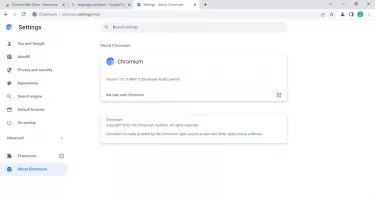 Chromium screenshot 6