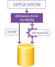 DbExpress driver for MySQL screenshot 1