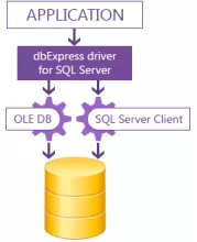 DbExpress driver for SQL Server screenshot 1