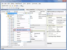 New Data Comparison from Microsoft SQL Server Management Studio