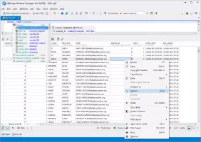 SQL Execution and Data Management