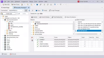 SQL Security Manager
