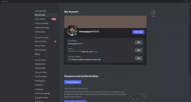 Discord screenshot 6