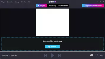DivX screenshot 1