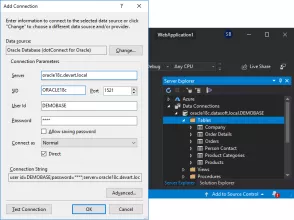 DotConnect for Oracle screenshot 1