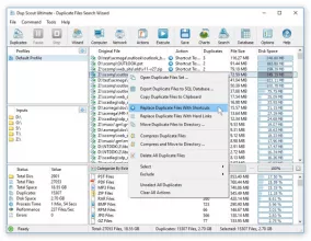 DupScout screenshot 1