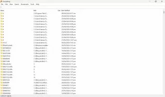 Everything screenshot 1