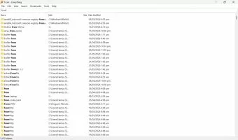 Everything screenshot 2