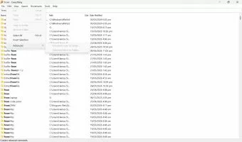 Everything screenshot 3