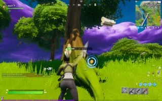 Fortnite screenshot 6