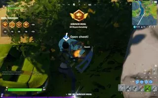 Fortnite screenshot 7