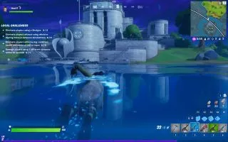 Fortnite screenshot 9