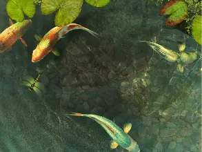 Koi Fish 3D Screensaver screenshot 1