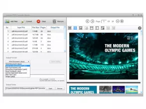 Main screen with multiple pdf files selected for conversion process