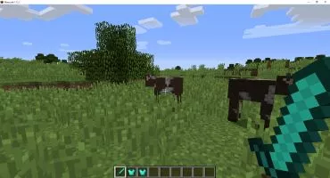 Minecraft screenshot 3