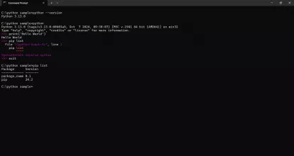 Python screenshot 1