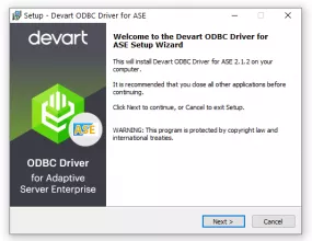 Devart ODBC Driver for SAP Sybase ASE screenshot 1