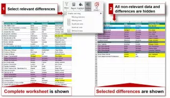 Synkronizer Excel Compare screenshot 5
