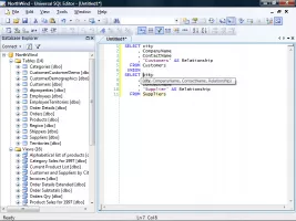SQL parameter information