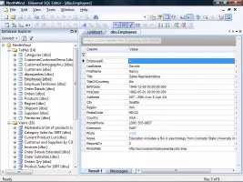 Query results (in record layout)