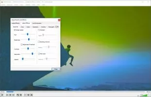 Adjustments and Effects