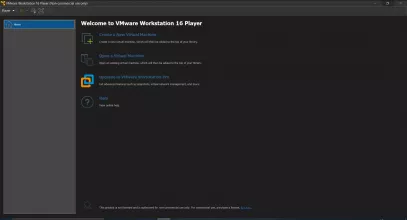 VMware Workstation Player screenshot 1
