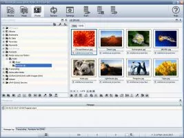 Wild Media Server screenshot 3